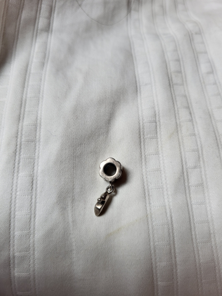 Pandora Bracelet Charm