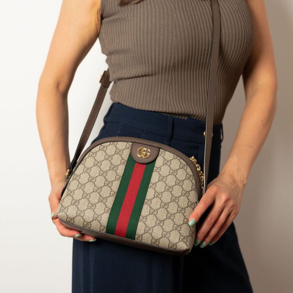 Gucci Ophidia GG Small Canvas Pouch Handbag GG Supreme