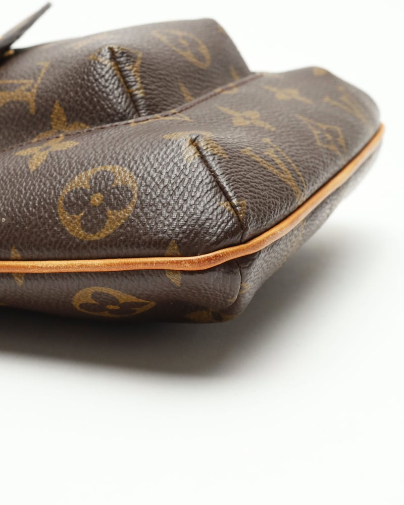 Louis Vuitton Monogram Partition Pochette Bag