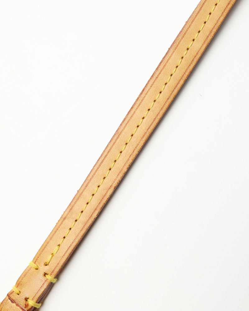 Louis Vuitton Monogram Partition Pochette Bag