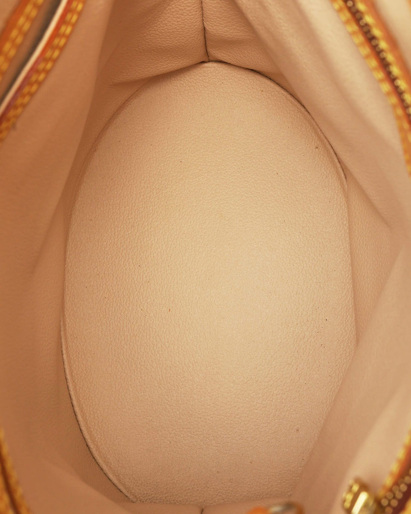 Louis Vuitton Monogram Bucket PM Bag