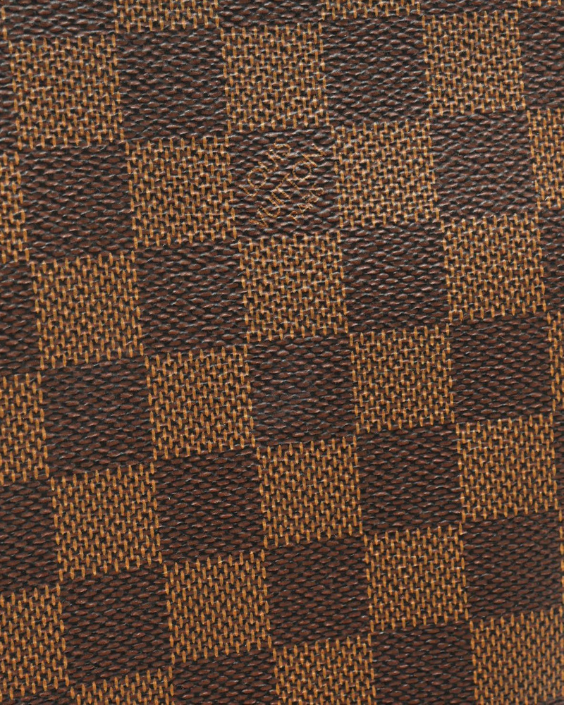 Louis Vuitton Damier Saleya MM Bag