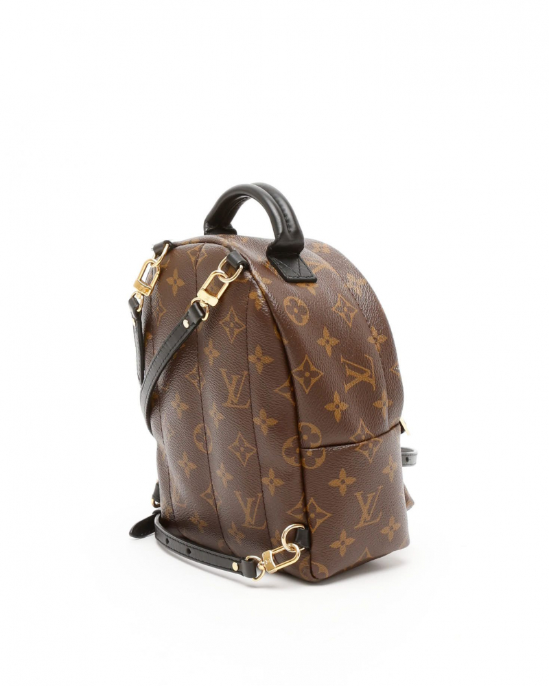 Louis Vuitton Mini Palm Springs Backpack