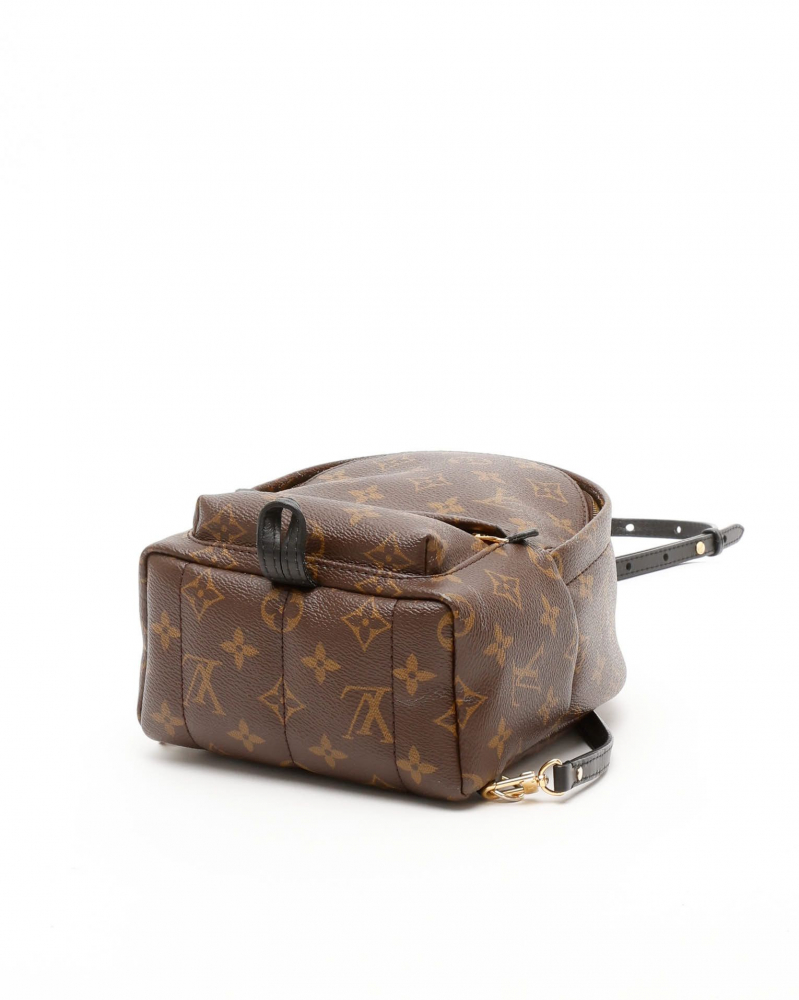 Louis Vuitton Mini Palm Springs Backpack