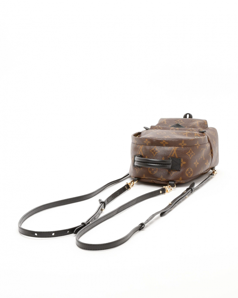 Louis Vuitton Mini Palm Springs Backpack
