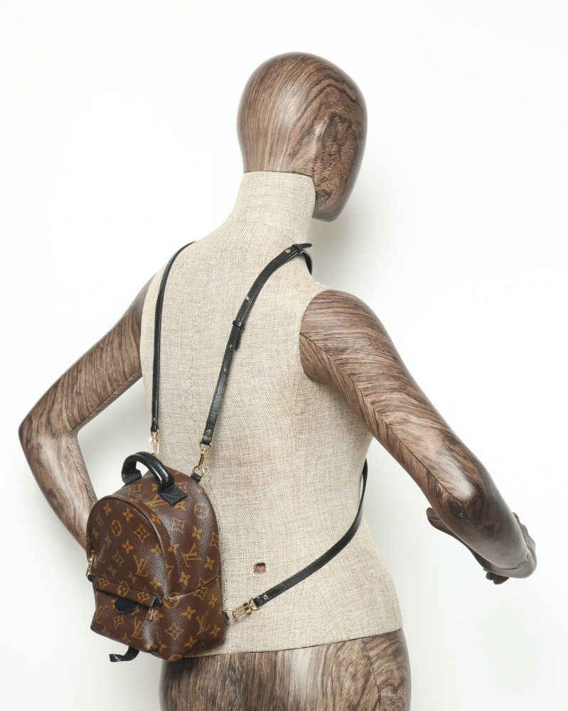 Louis Vuitton Mini Palm Springs Backpack