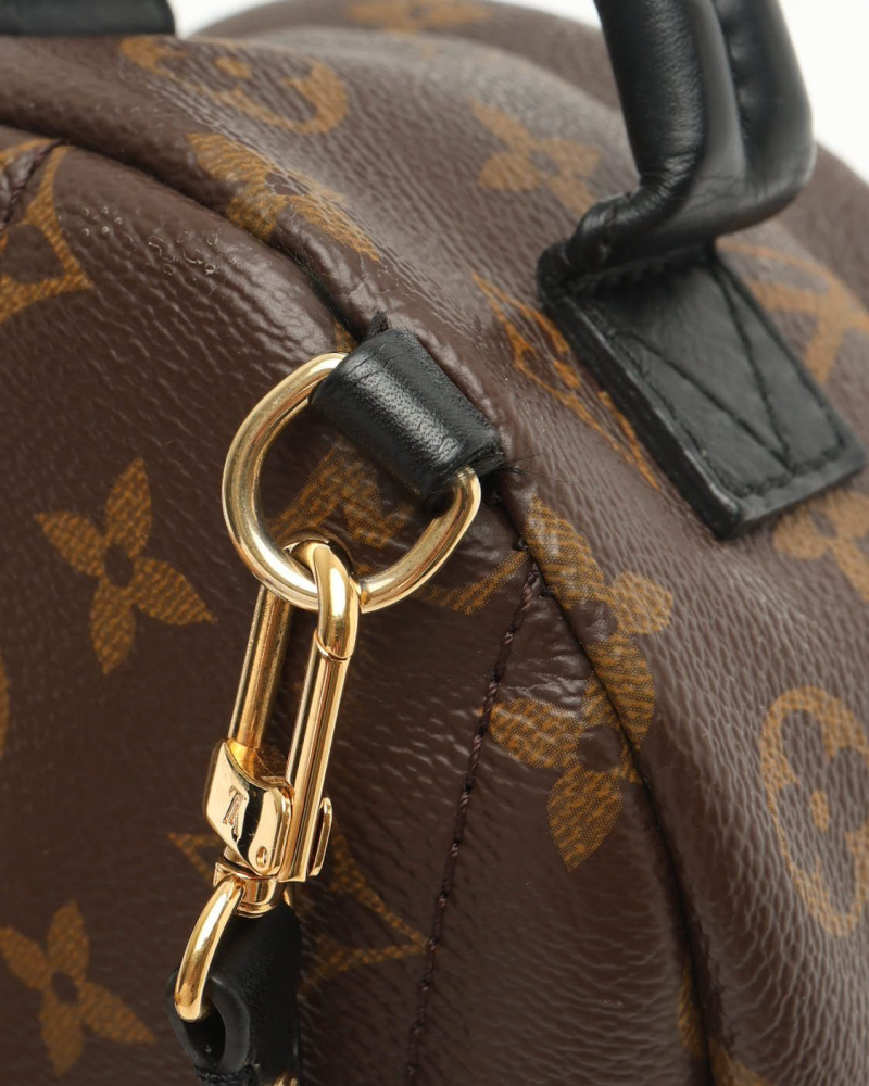 Louis Vuitton Mini Palm Springs Backpack
