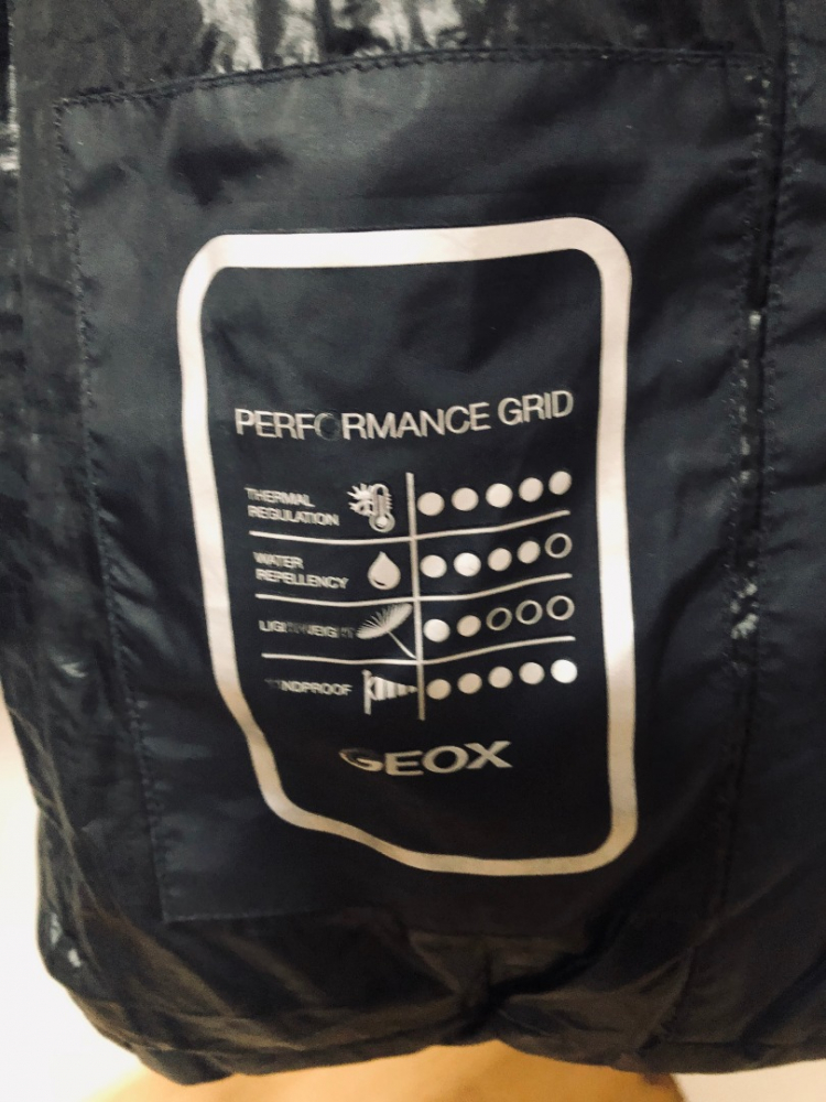 Geox Manteau