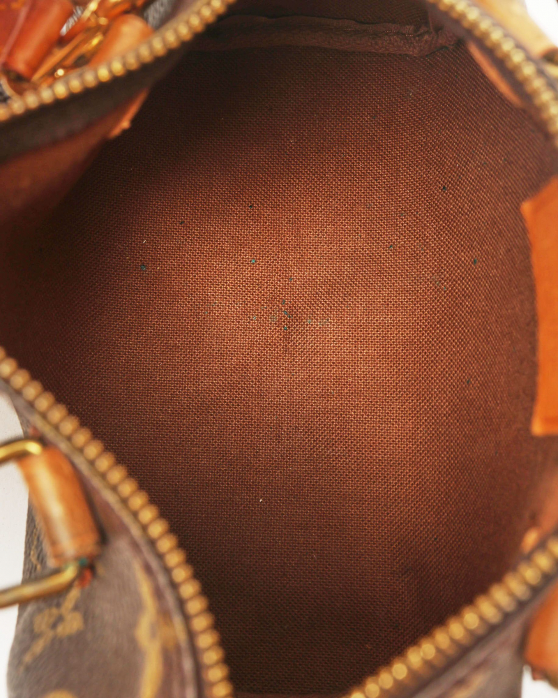 Louis Vuitton Monogram Nano Speedy Bag