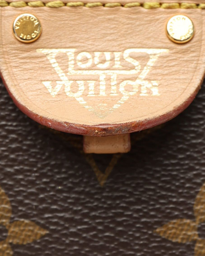 Louis Vuitton Monogram Moon Backpack