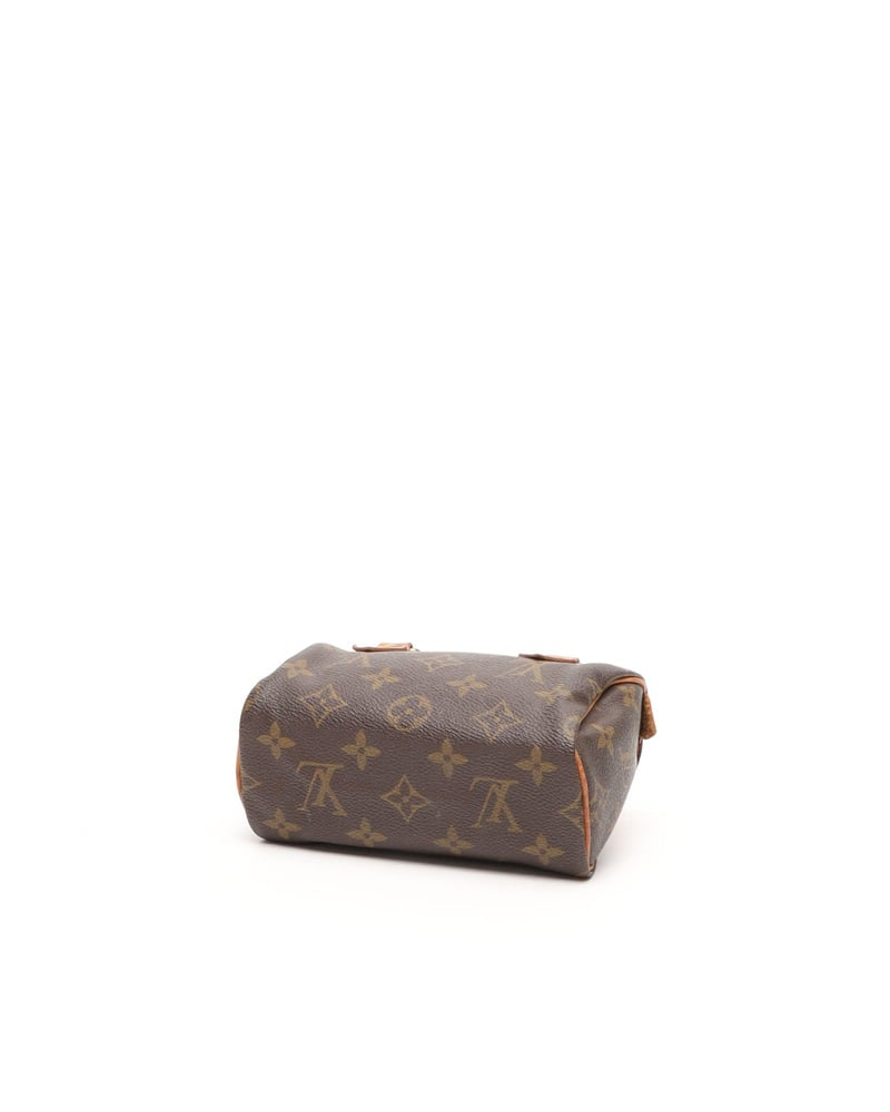 Louis Vuitton Monogram Nano Speedy Bag