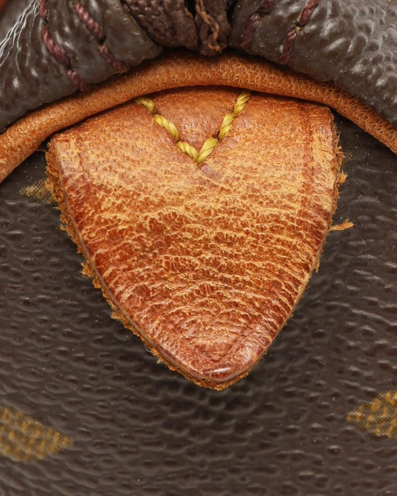 Louis Vuitton Monogram Nano Speedy Bag