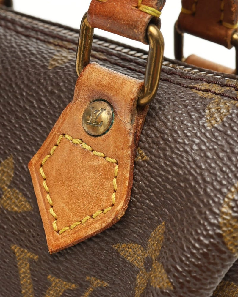 Louis Vuitton Monogram Nano Speedy Bag