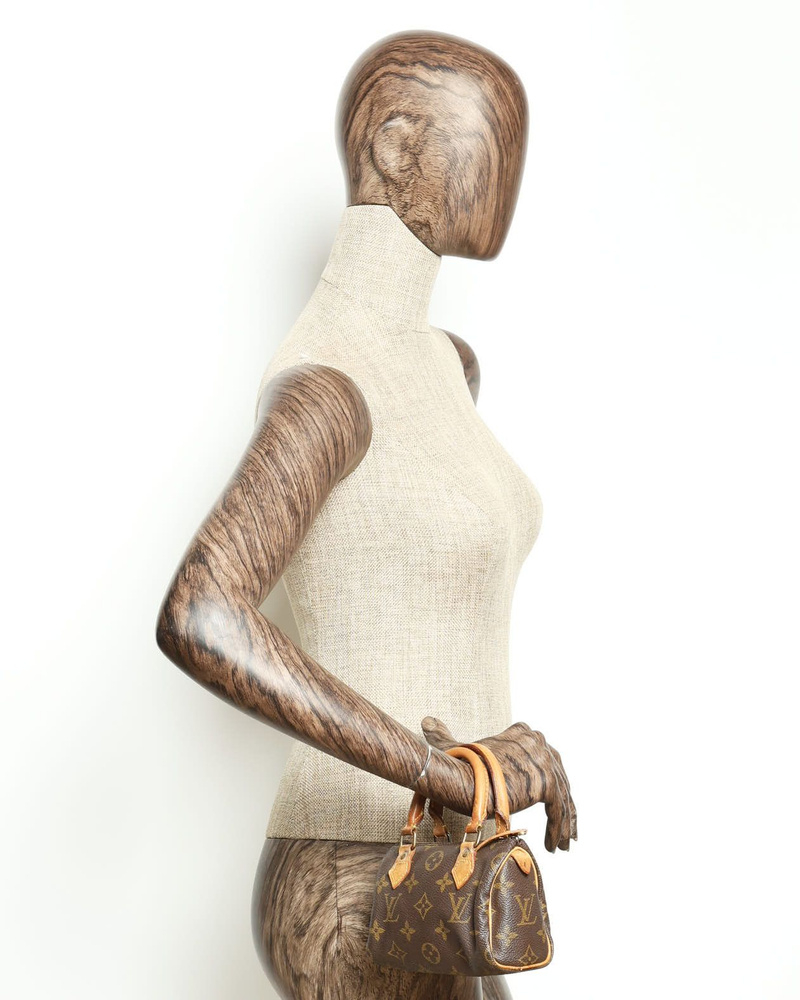 Louis Vuitton Monogram Nano Speedy Bag