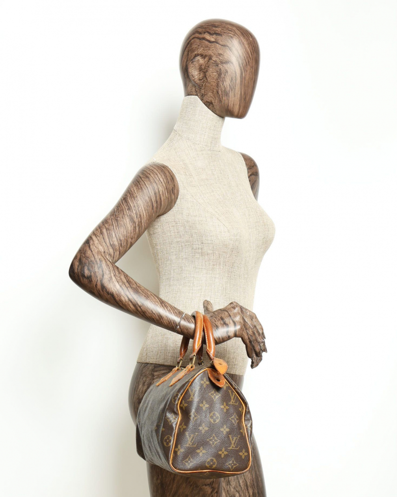 Louis Vuitton Monogram Speedy 25 Bag