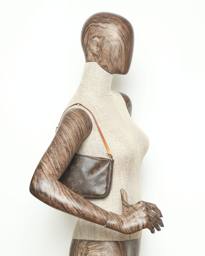 Louis Vuitton Monogram Pochette Accessoires Bag