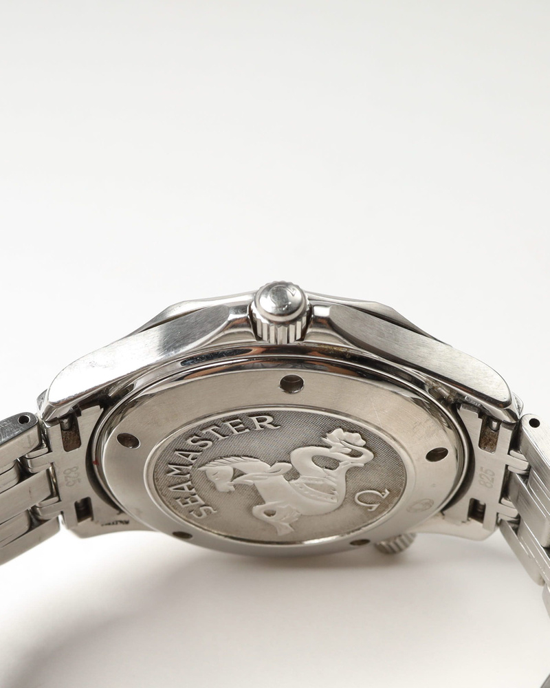 Omega Seamaster 300M 41mm Watch