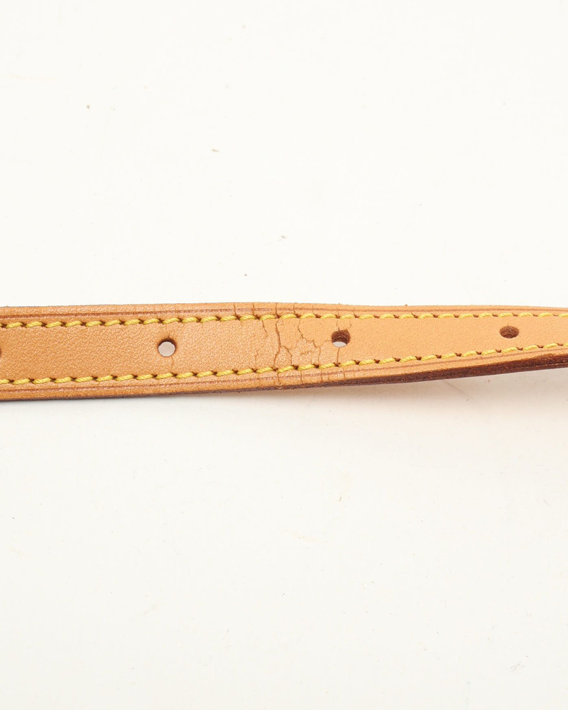 Louis Vuitton Monogram Blois Bag