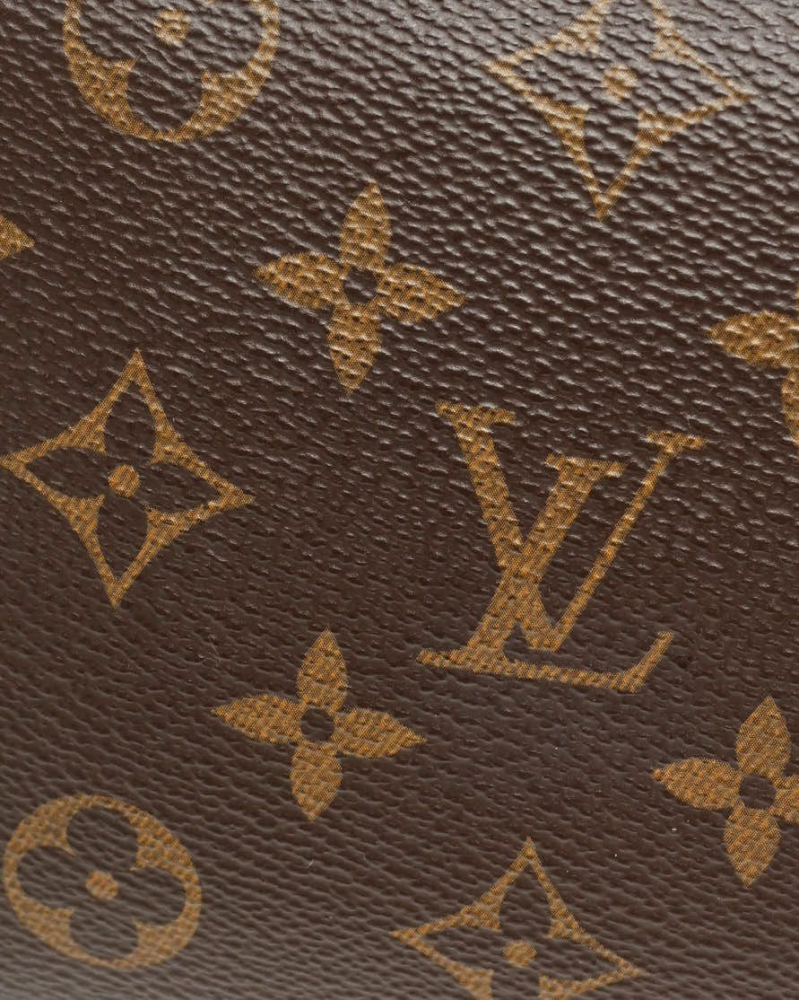 Louis Vuitton Multi Pochette Accessories Bag