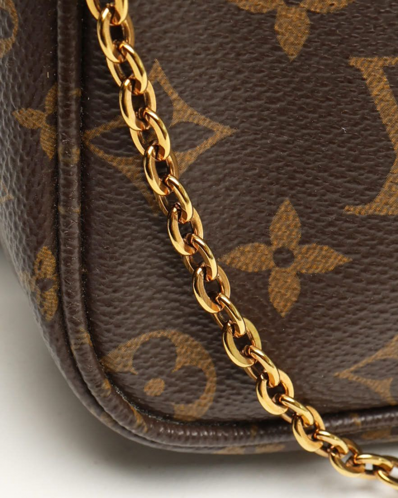Louis Vuitton Multi Pochette Accessories Bag