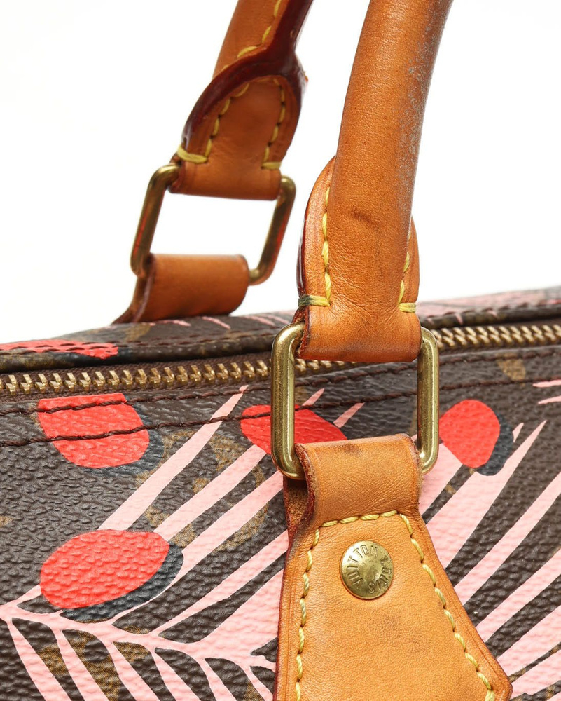 Louis Vuitton Monogram Jungle Dot Speedy