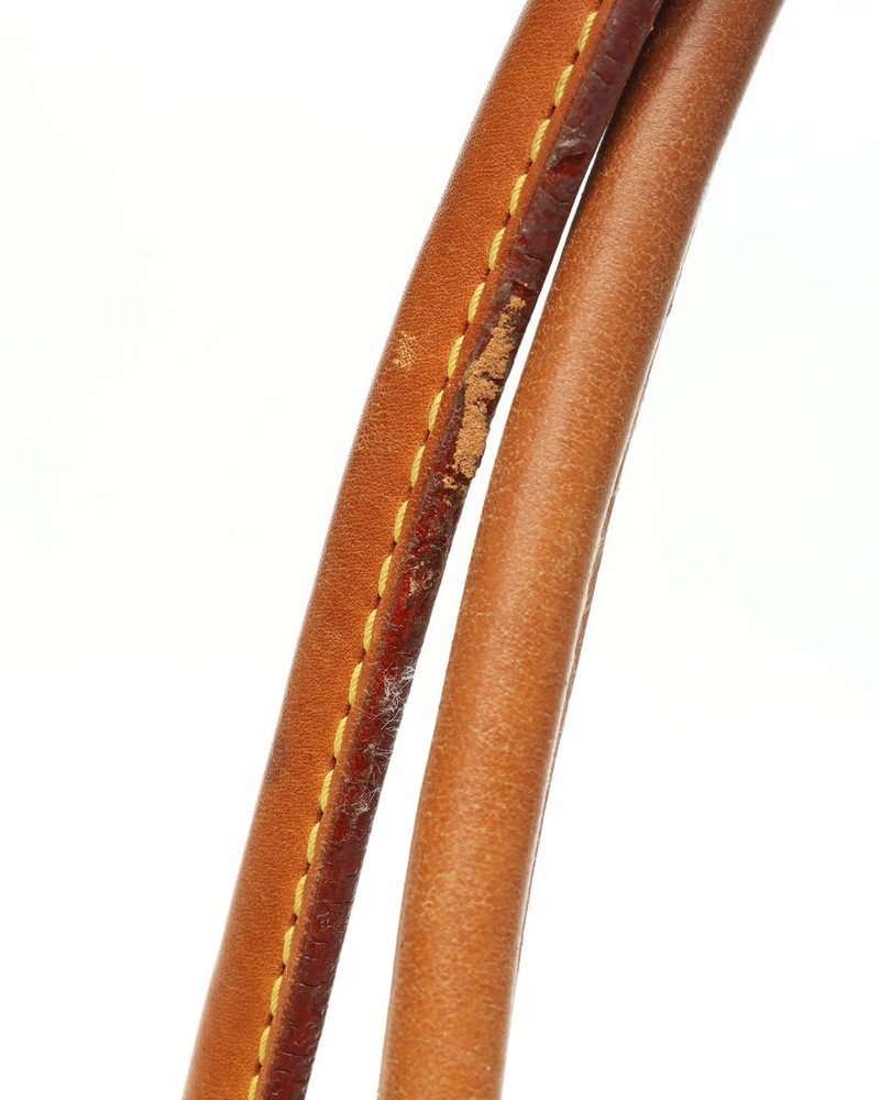 Louis Vuitton Monogram Raspail PM Tote