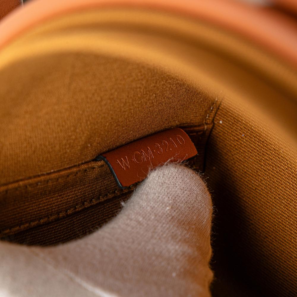 Celine B Celine Brown Dark Brown Coated Canvas Fabric Medium Triomphe Tambour Crossbody Italy