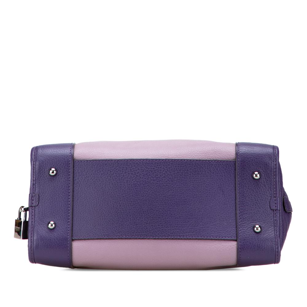 Loewe B LOEWE Purple Goatskin Leather Tricolor Amazona 28 Spain