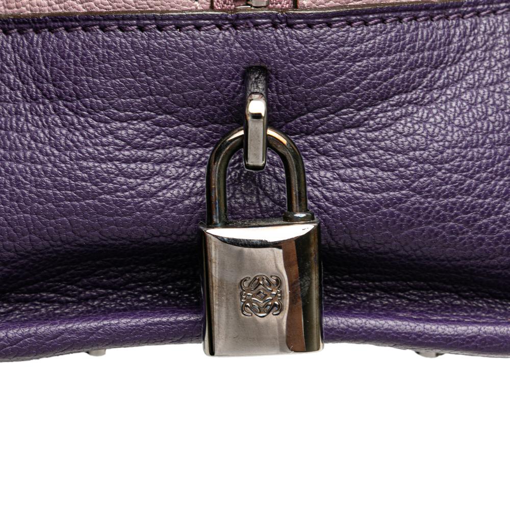 Loewe B LOEWE Purple Goatskin Leather Tricolor Amazona 28 Spain