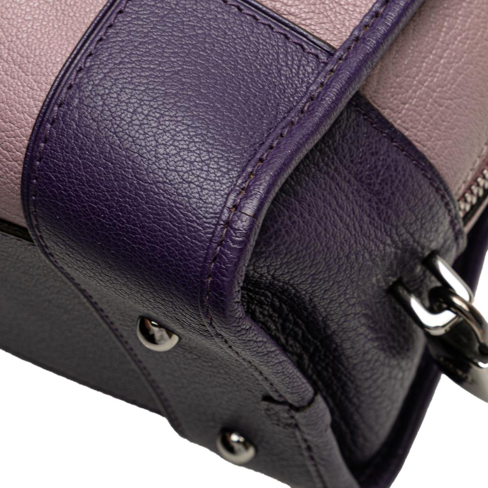Loewe B LOEWE Purple Goatskin Leather Tricolor Amazona 28 Spain