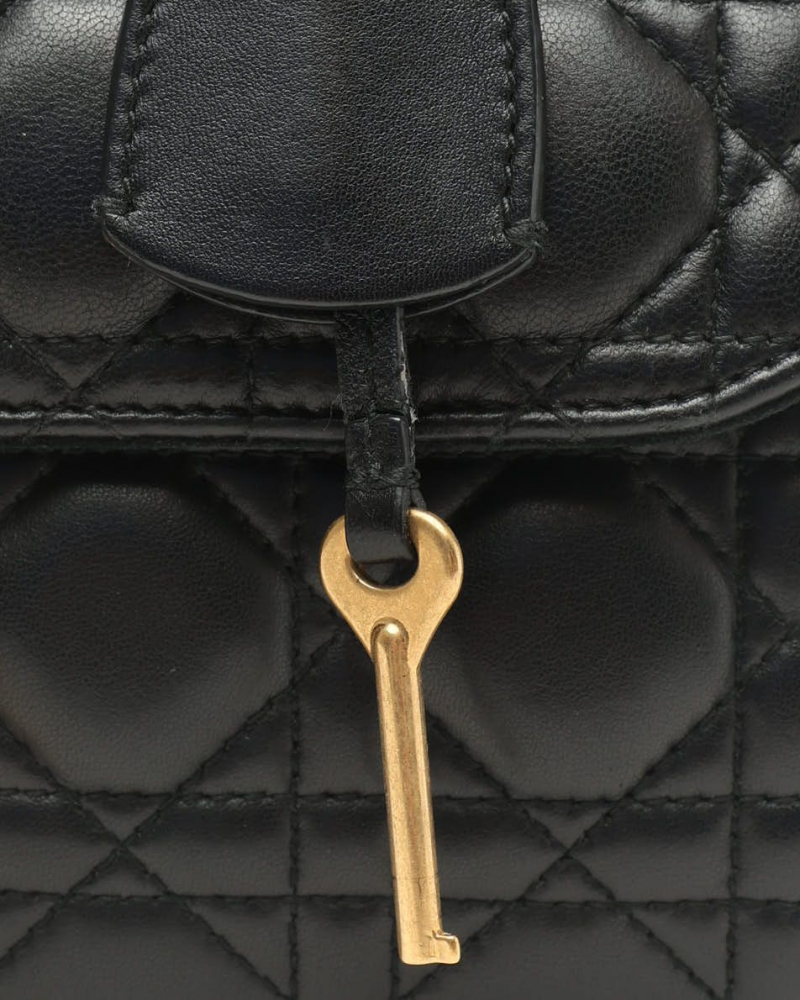 Christian Dior Medium DiorAddict Bag