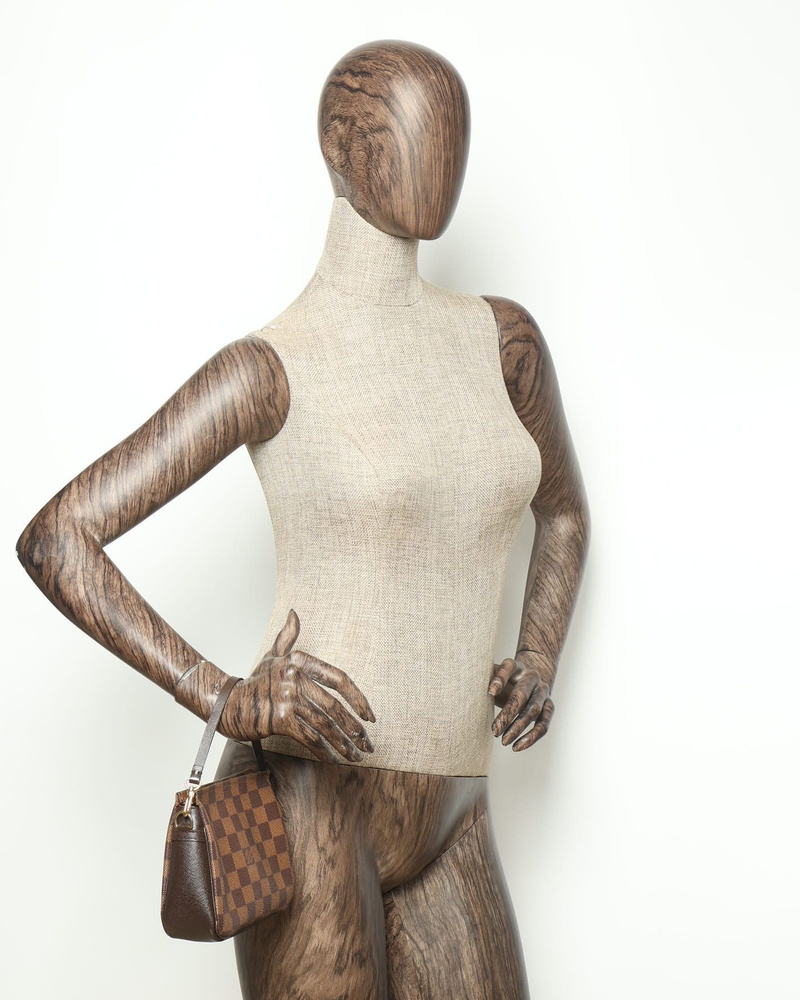 Louis Vuitton Damier Ebene Truth Makeup Bag