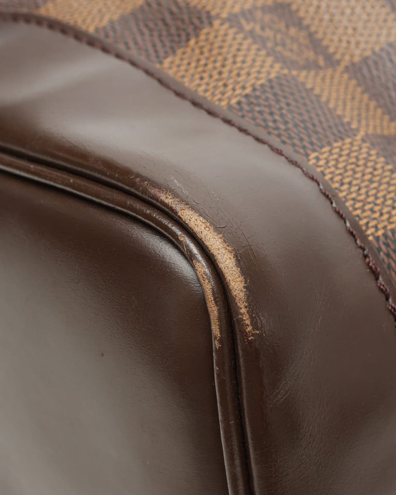 Louis Vuitton Damier Ebene Soho Backpack