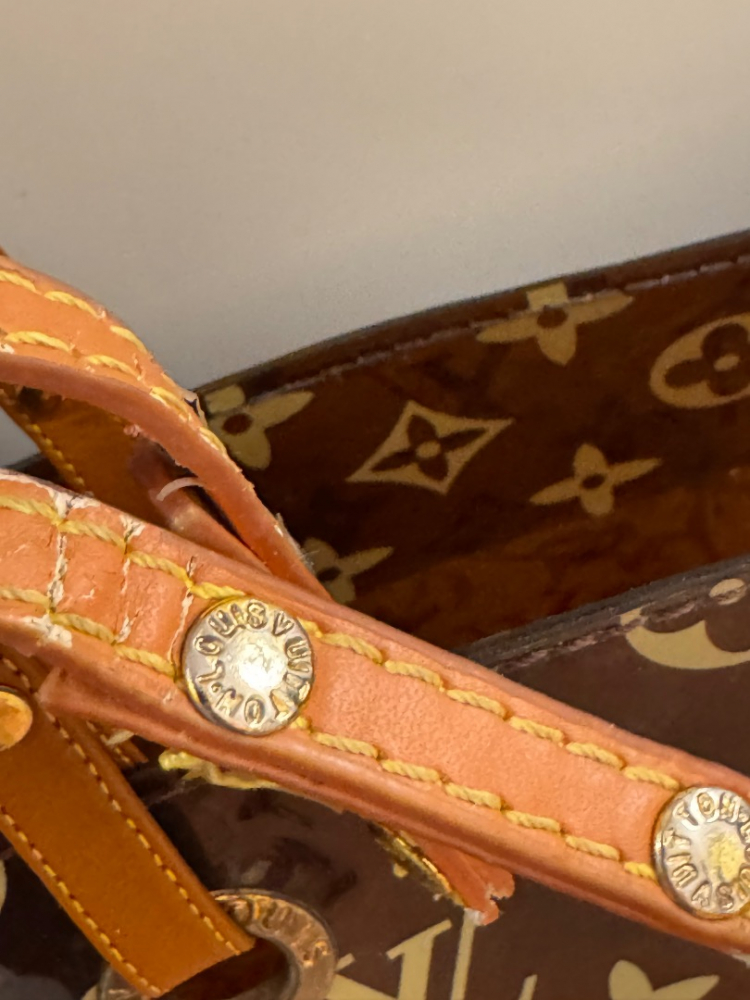 Louis Vuitton Clear Monogram Sac Cabas Cruise Ambre GM Tote Bag