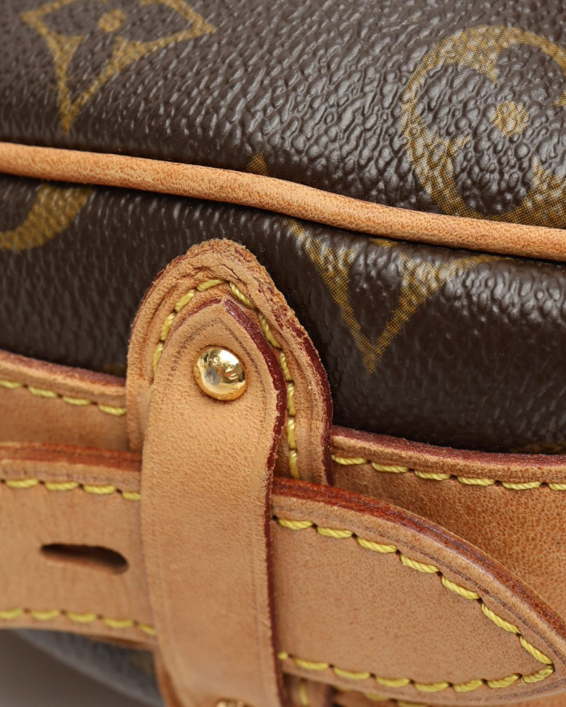 Louis Vuitton Monogram Tulum GM Bag