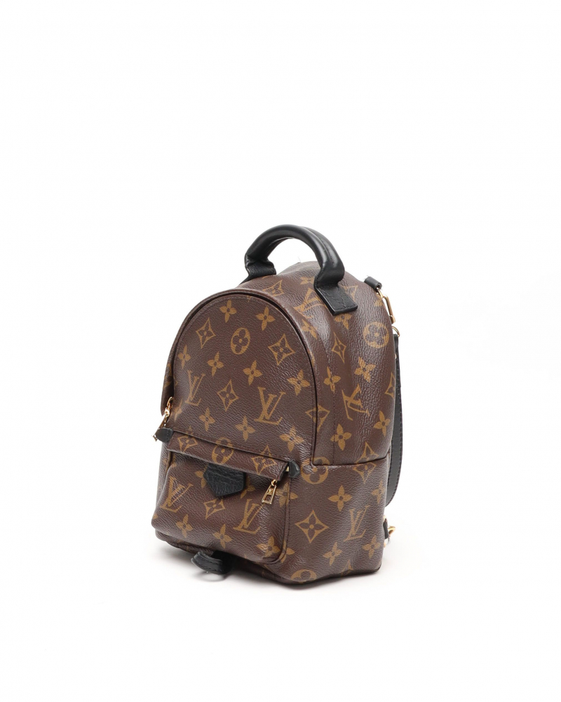 Louis Vuitton Monogram Mini Palm Springs Backpack
