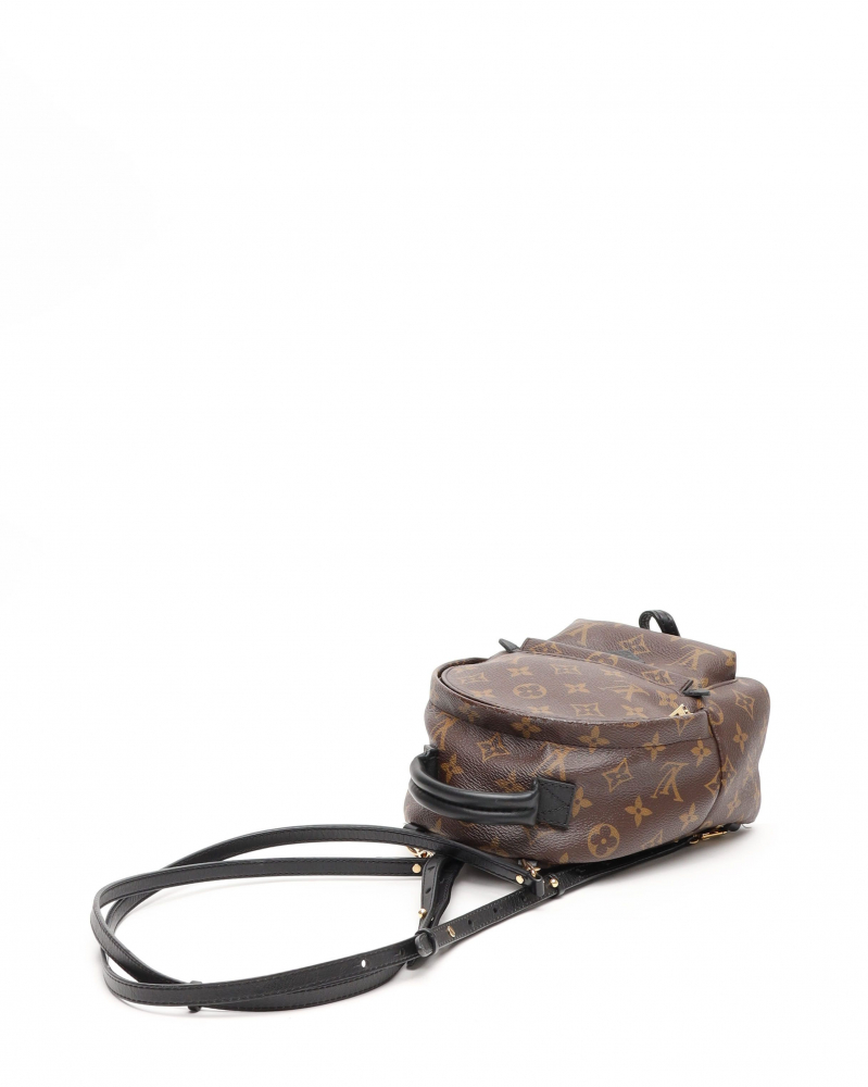 Louis Vuitton Monogram Mini Palm Springs Backpack