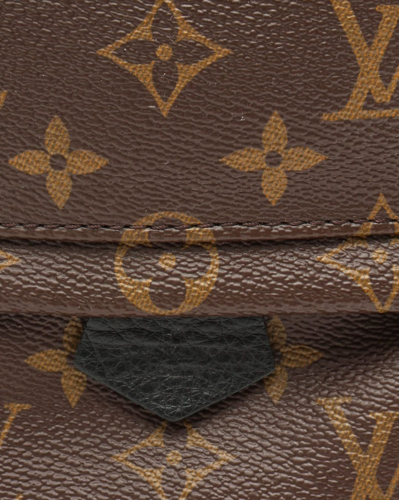 Louis Vuitton Monogram Mini Palm Springs Backpack