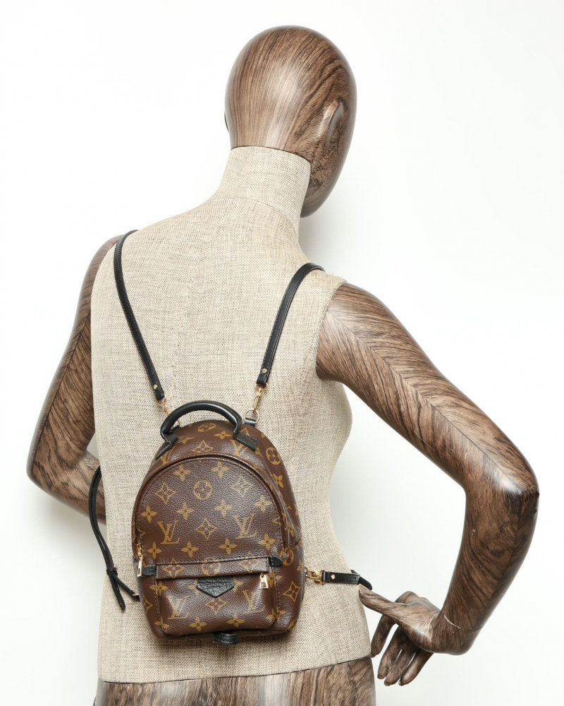 Louis Vuitton Monogram Mini Palm Springs Backpack