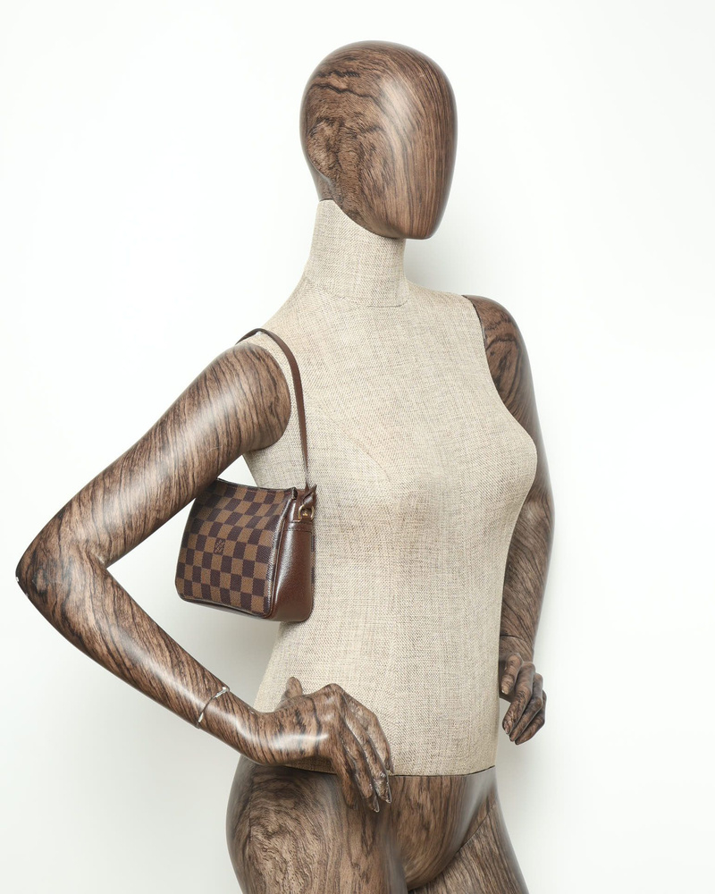 Louis Vuitton Damier Ebene Truth Makeup Bag