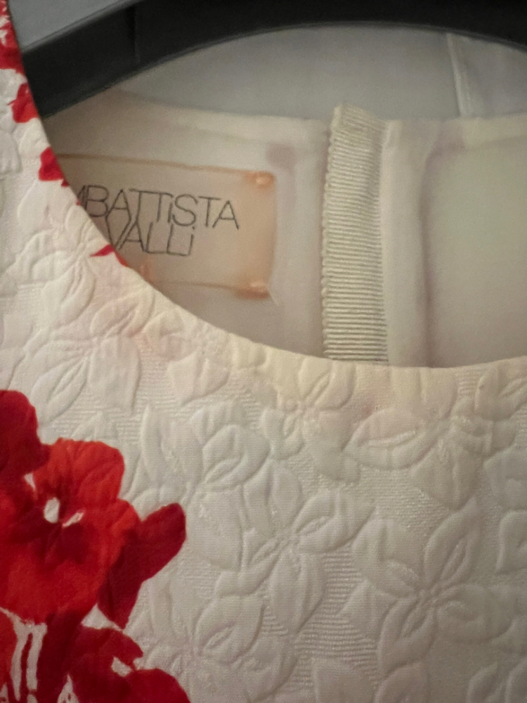 Giambattista Valli Dressy dress