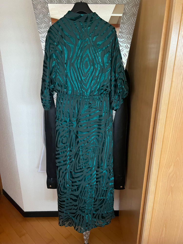 Diane von Furstenberg Jessel-Kleid