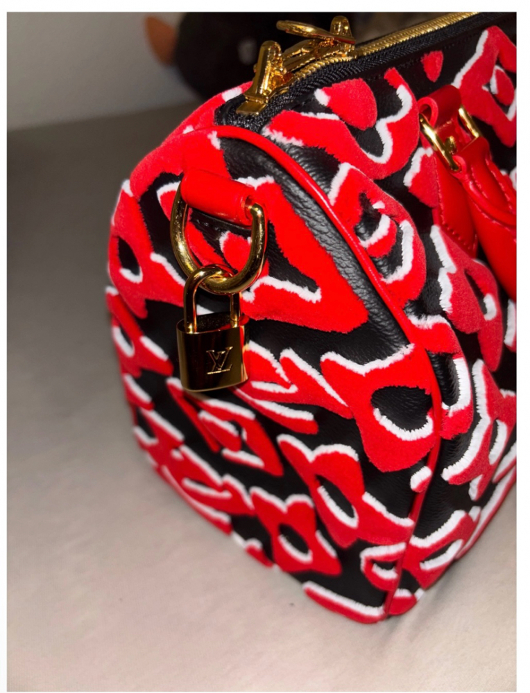 Louis Vuitton Speedy 25