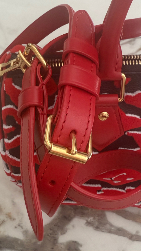 Louis Vuitton Speedy 25