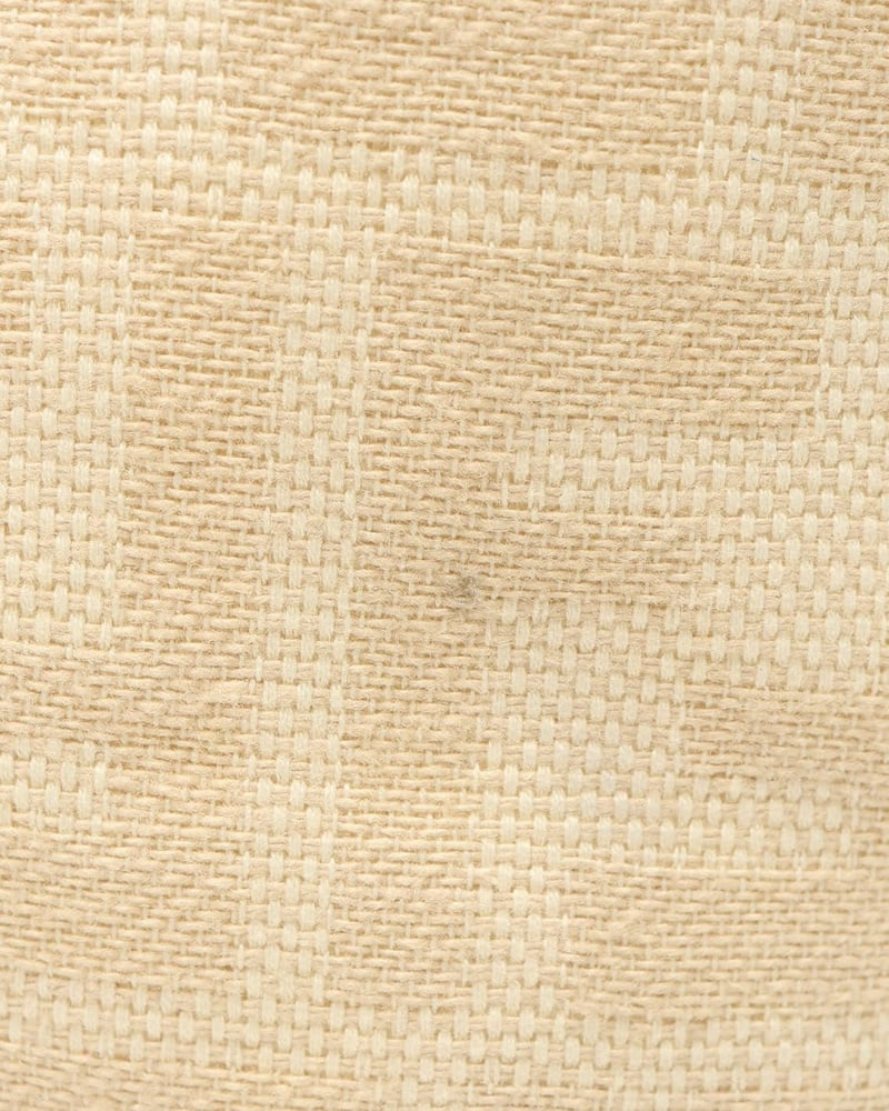 Fendi Zucca Tote Bag