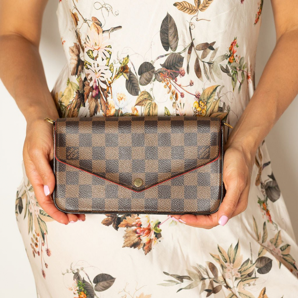Louis Vuitton Felicie Canvas Pouch Clutch Damier Ebene