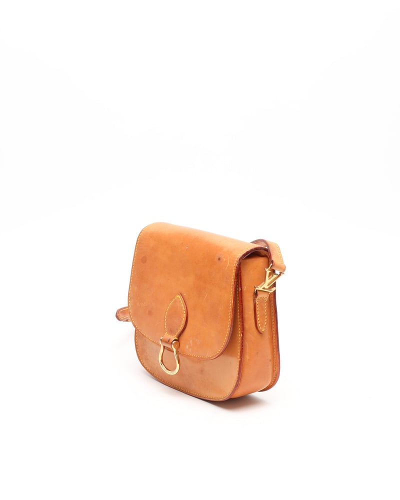 Louis Vuitton Nomad Saint Cloud GM Bag