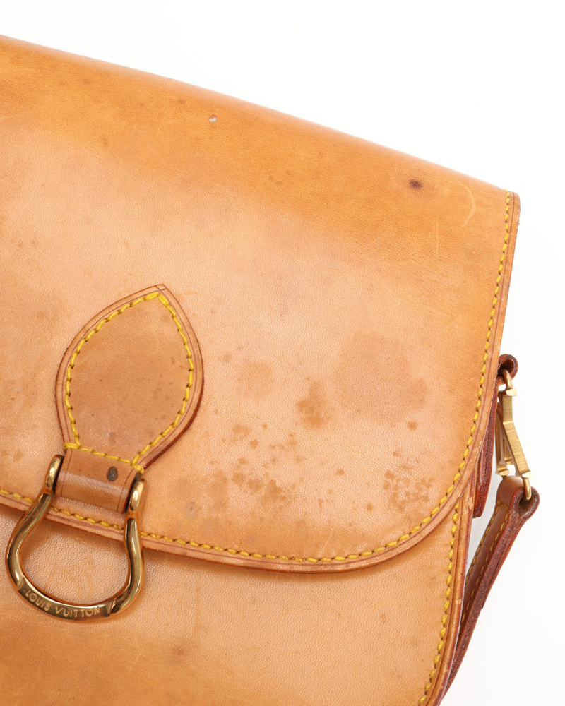 Louis Vuitton Nomad Saint Cloud GM Bag