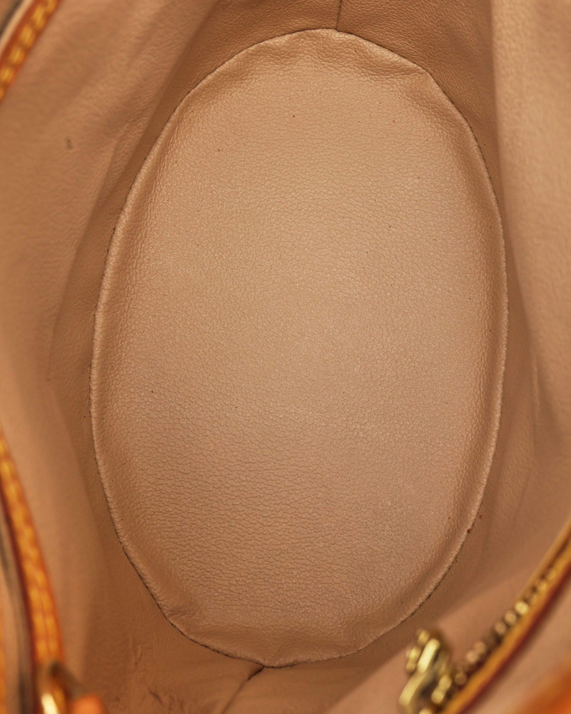 Louis Vuitton Monogram Bucket PM Bag