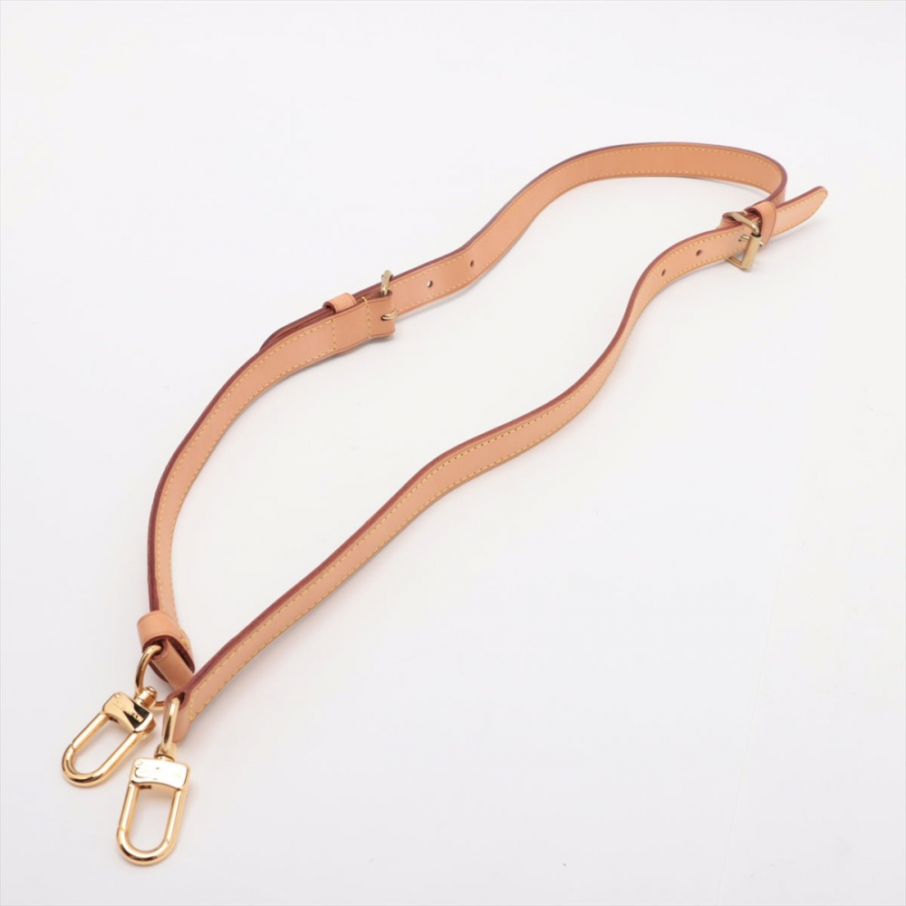 Louis Vuitton Speedy 25 Canvas Bandoulière Trunk Handbag Monogram